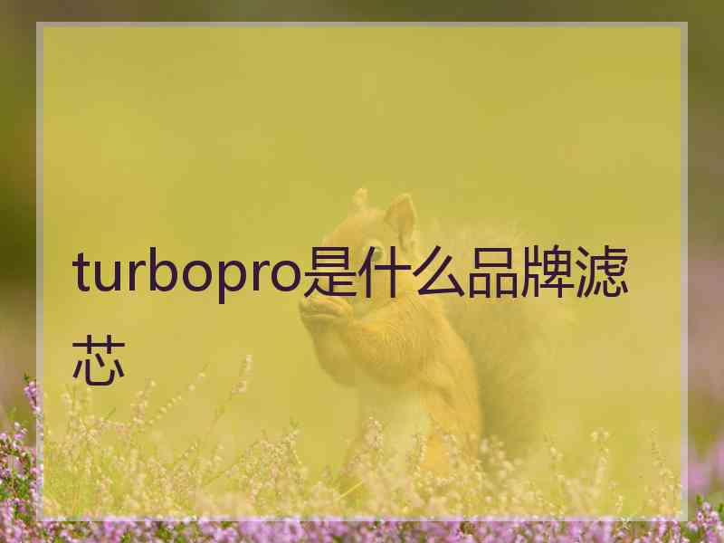 turbopro是什么品牌滤芯