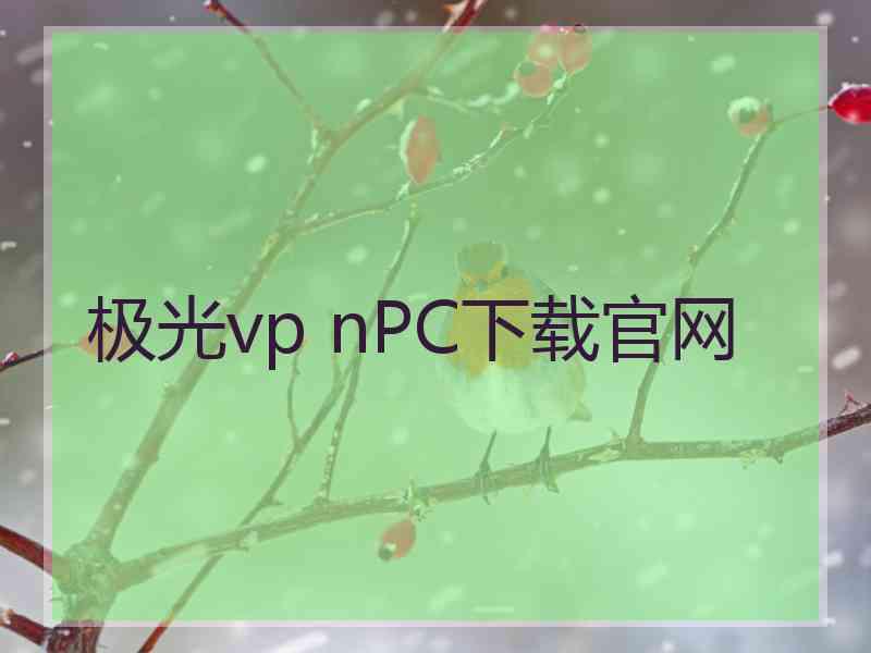 极光vp nPC下载官网