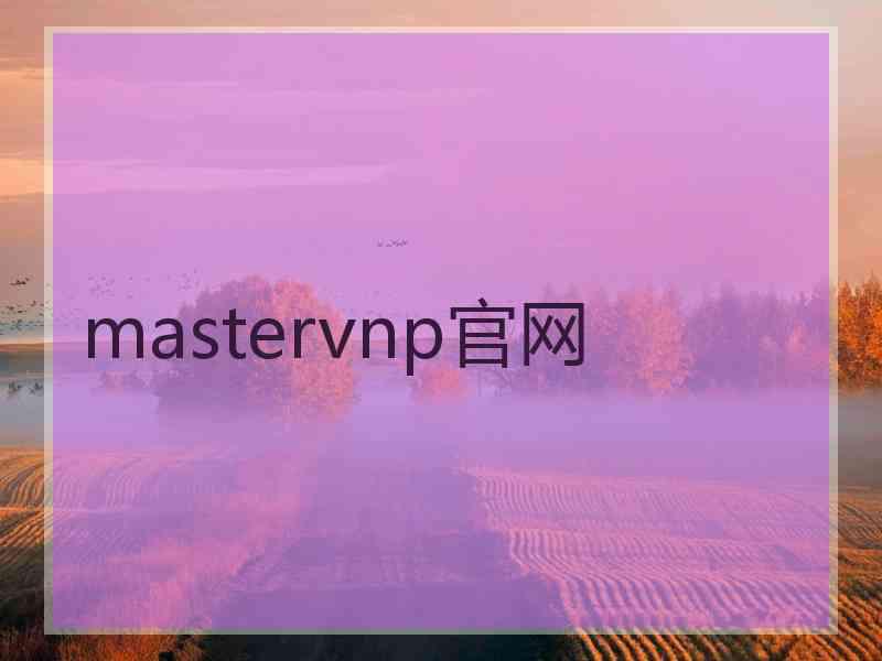 mastervnp官网