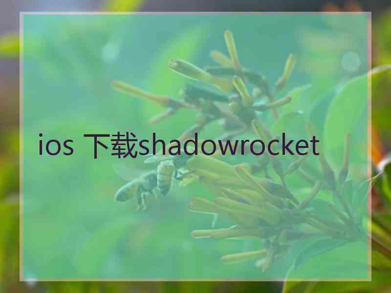 ios 下载shadowrocket