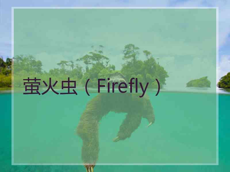 萤火虫（Firefly）