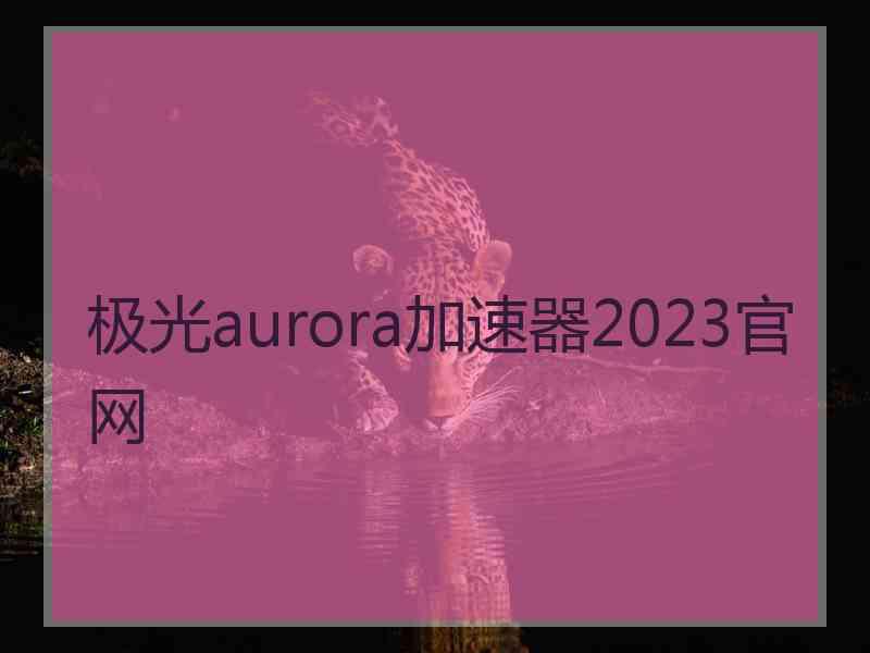 极光aurora加速器2023官网